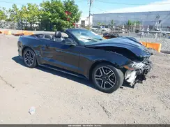 1FATP8UH5K5149491 2019 FORD MUSTANG