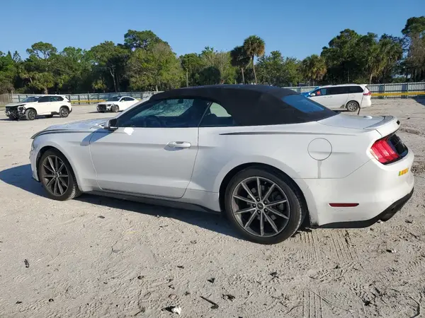 1FATP8UH5K5149961 2019 FORD MUSTANG - Image 2