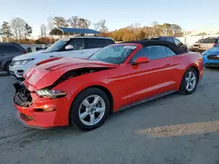 1FATP8UH5K5159003 2019 FORD MUSTANG