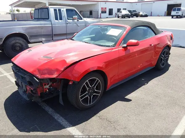1FATP8UH5K5159048 2019 FORD MUSTANG - Image 2