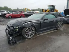 1FATP8UH5K5159163 2019 FORD MUSTANG