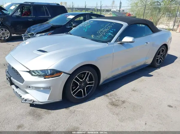 1FATP8UH5K5161673 2019 FORD MUSTANG - Image 2