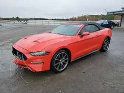1FATP8UH5K5161866 2019 FORD MUSTANG