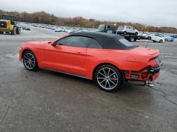 1FATP8UH5K5161866 2019 FORD MUSTANG - Image 2