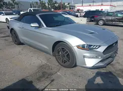 1FATP8UH5K5169966 2019 FORD MUSTANG
