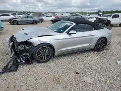 1FATP8UH5K5170017 2019 FORD MUSTANG