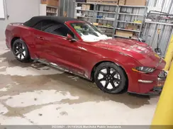 1FATP8UH5K5177257 2019 FORD MUSTANG