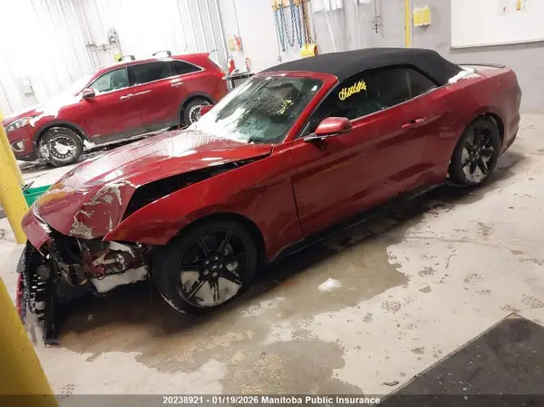 1FATP8UH5K5177257 2019 FORD MUSTANG - Image 2