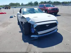 1FATP8UH5K5178764 2019 FORD MUSTANG