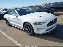 1FATP8UH5K5179476 2019 FORD MUSTANG