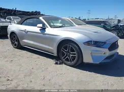 1FATP8UH5K5181843 2019 FORD MUSTANG
