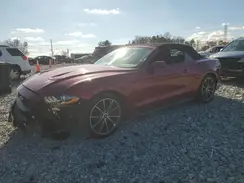 1FATP8UH5K5188632 2019 FORD MUSTANG