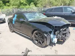 1FATP8UH5K5198738 2019 FORD MUSTANG