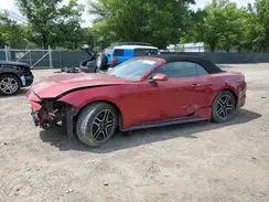 1FATP8UH5K5200696 2019 FORD MUSTANG