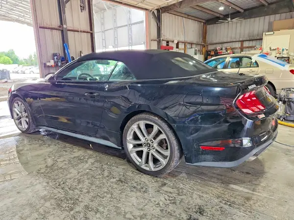 1FATP8UH5K5204537 2019 FORD MUSTANG - Image 2