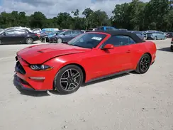 1FATP8UH5K5205218 2019 FORD MUSTANG