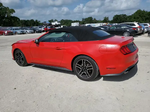 1FATP8UH5K5205218 2019 FORD MUSTANG - Image 2