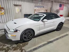 1FATP8UH5M5125078 2021 FORD MUSTANG