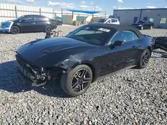 1FATP8UH5P5100377 2023 FORD MUSTANG