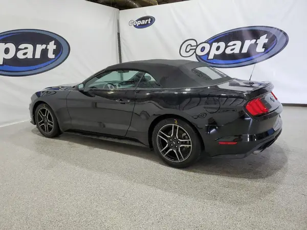 1FATP8UH5P5103666 2023 FORD MUSTANG - Image 2
