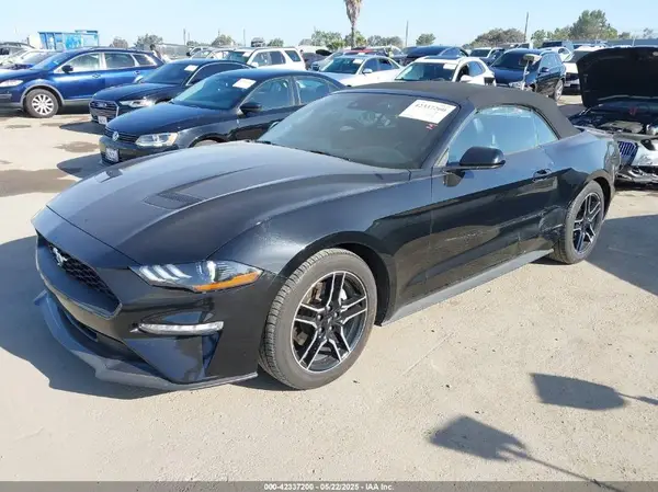 1FATP8UH5P5103747 2023 FORD MUSTANG - Image 2