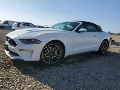 1FATP8UH5P5110553 2023 FORD MUSTANG