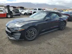 1FATP8UH5P5111315 2023 FORD MUSTANG