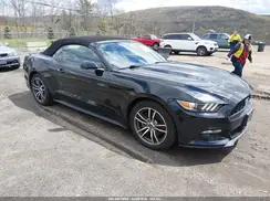 1FATP8UH6H5293396 2017 FORD MUSTANG