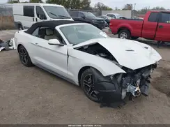 1FATP8UH6K5106522 2019 FORD MUSTANG