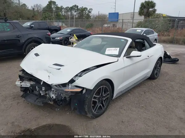 1FATP8UH6K5106522 2019 FORD MUSTANG - Image 2