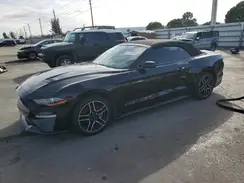 1FATP8UH6K5109534 2019 FORD MUSTANG