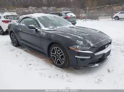 1FATP8UH6K5109632 2019 FORD MUSTANG