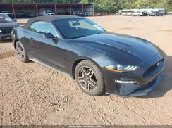 1FATP8UH6K5109937 2019 FORD MUSTANG