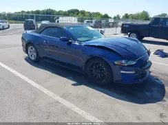 1FATP8UH6K5129878 2019 FORD MUSTANG