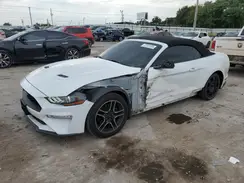 1FATP8UH6K5131369 2019 FORD MUSTANG
