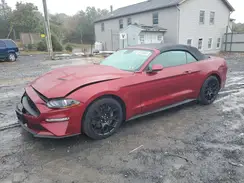 1FATP8UH6K5133235 2019 FORD MUSTANG