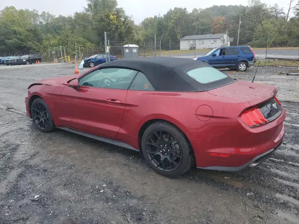 1FATP8UH6K5133235 2019 FORD MUSTANG - Image 2