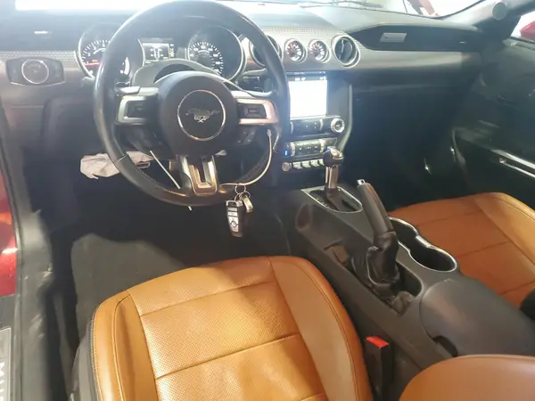 1FATP8UH6K5133235 2019 FORD MUSTANG - Image 8
