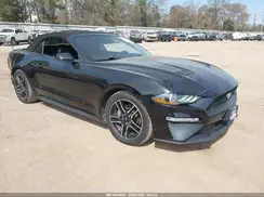 1FATP8UH6K5134000 2019 FORD MUSTANG