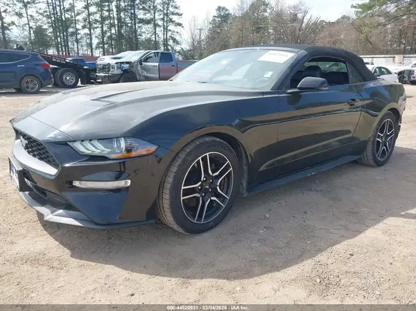 1FATP8UH6K5134000 2019 FORD MUSTANG - Image 2