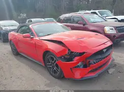 1FATP8UH6K5138631 2019 FORD MUSTANG
