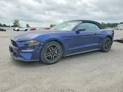 1FATP8UH6K5148978 2019 FORD MUSTANG