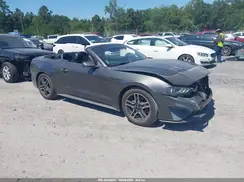 1FATP8UH6K5158684 2019 FORD MUSTANG