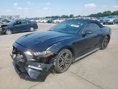 1FATP8UH6K5161598 2019 FORD MUSTANG
