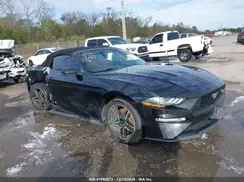 1FATP8UH6K5162427 2019 FORD MUSTANG