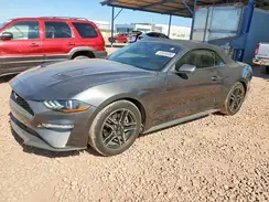 1FATP8UH6K5170060 2019 FORD MUSTANG
