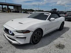 1FATP8UH6K5170401 2019 FORD MUSTANG