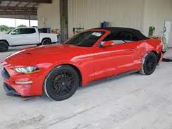 1FATP8UH6K5170592 2019 FORD MUSTANG