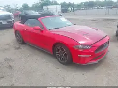 1FATP8UH6K5181768 2019 FORD MUSTANG