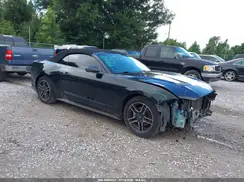 1FATP8UH6K5181804 2019 FORD MUSTANG